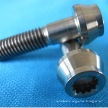 Titanium alloy twelve side socket screw bolt